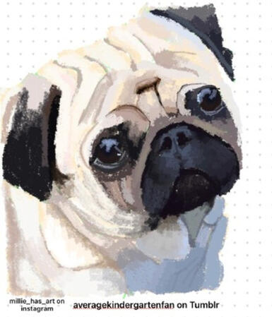 Pug painting